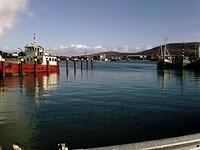 Beara, Castletownbere, de haven